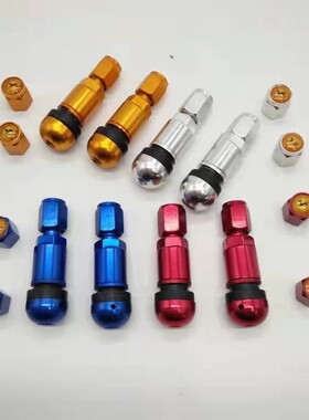 汽车轮胎真空胎气门嘴轮胎气嘴真空嘴橡胶嘴带气门芯帽子 414包邮