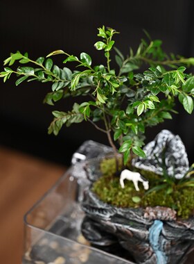流水摆件微景观紫檀绿p植假山鱼缸盆造景循环水客厅办公室桌面礼