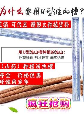 浅生槽山药种植模具U型定向透明淮山约大型塑料槽培育引导生长管