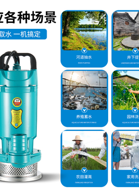 潜水泵220V家用高扬程大流量清水泵农用灌溉小型抽水泵深井吸水泵