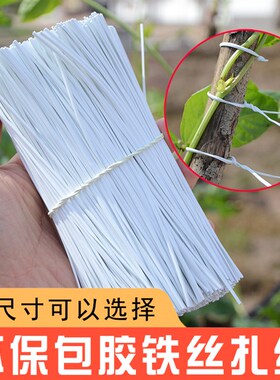 包塑扎线家庭园艺园林植物扎丝 DIY花木扎线铁丝绑线铁芯扎带12cm