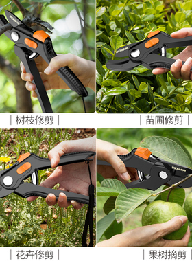 园艺剪刀果树修枝剪园林省力修剪树枝修花枝工具家用强力剪子神器