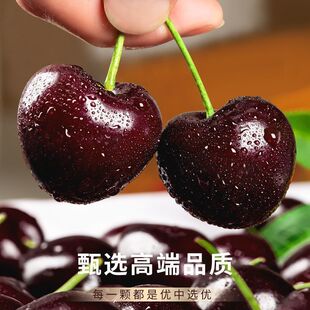 【净重2斤】空运智力车厘子礼盒装