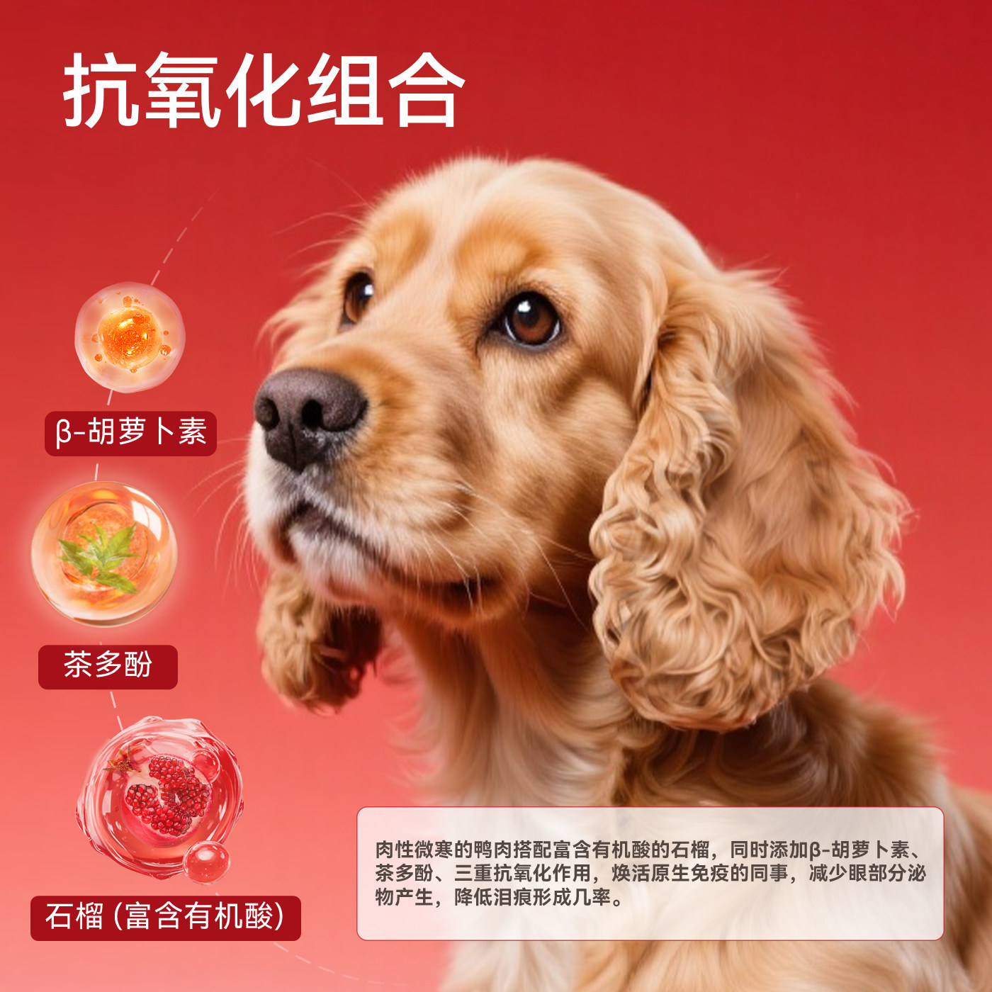 珍珠匠烘焙狗粮T6成幼犬通用鸭肉石榴缓泪痕鲜肉全价犬粮1.5kg,淘宝优惠券,粉丝福利购,淘宝优惠卷