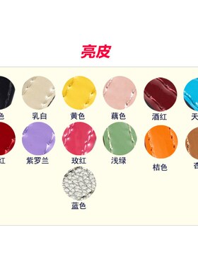 定制不调节羊皮纹亮皮荔枝纹牛皮女包包配件真皮包带子肩带小包
