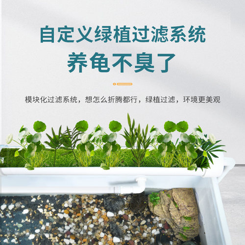 yee龟箱周转箱非免换水兰寿金鱼内循环净水鱼龟池养龟箱繁殖产蛋 - 图0