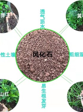 天然风化土金弹子罗汉松种菜专用酸性红土保湿透气促生根盆景通用