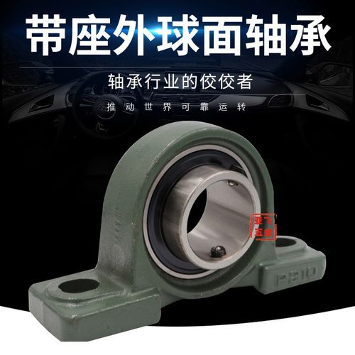 日本进口轴承 UCP P UC 305 306 307 308 309 310 311 312 313 D1 - 图1