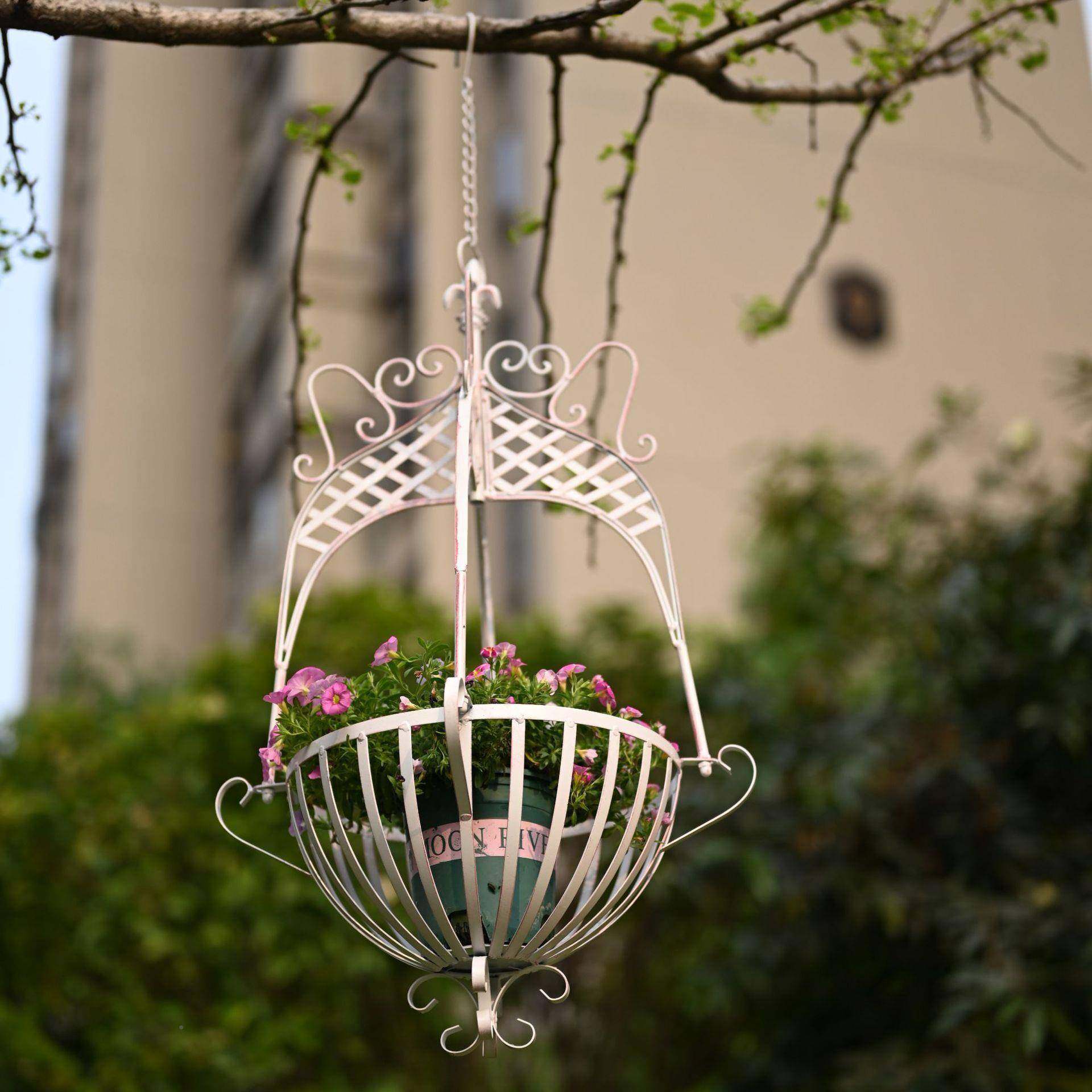 铁艺吊篮盆悬花架植物支花撑户外花园绿萝1.4复古月季兰挂收子纳,淘宝优惠券,粉丝福利购,淘宝优惠卷