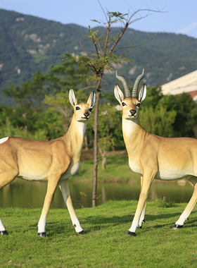 户外中式公母g羚羊雕塑玻璃钢摆件花园庭院草坪售楼部景观动物装