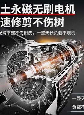 德国进口电动剪刀修枝剪刀果树充电式液晶无线锂电园艺园林粗枝