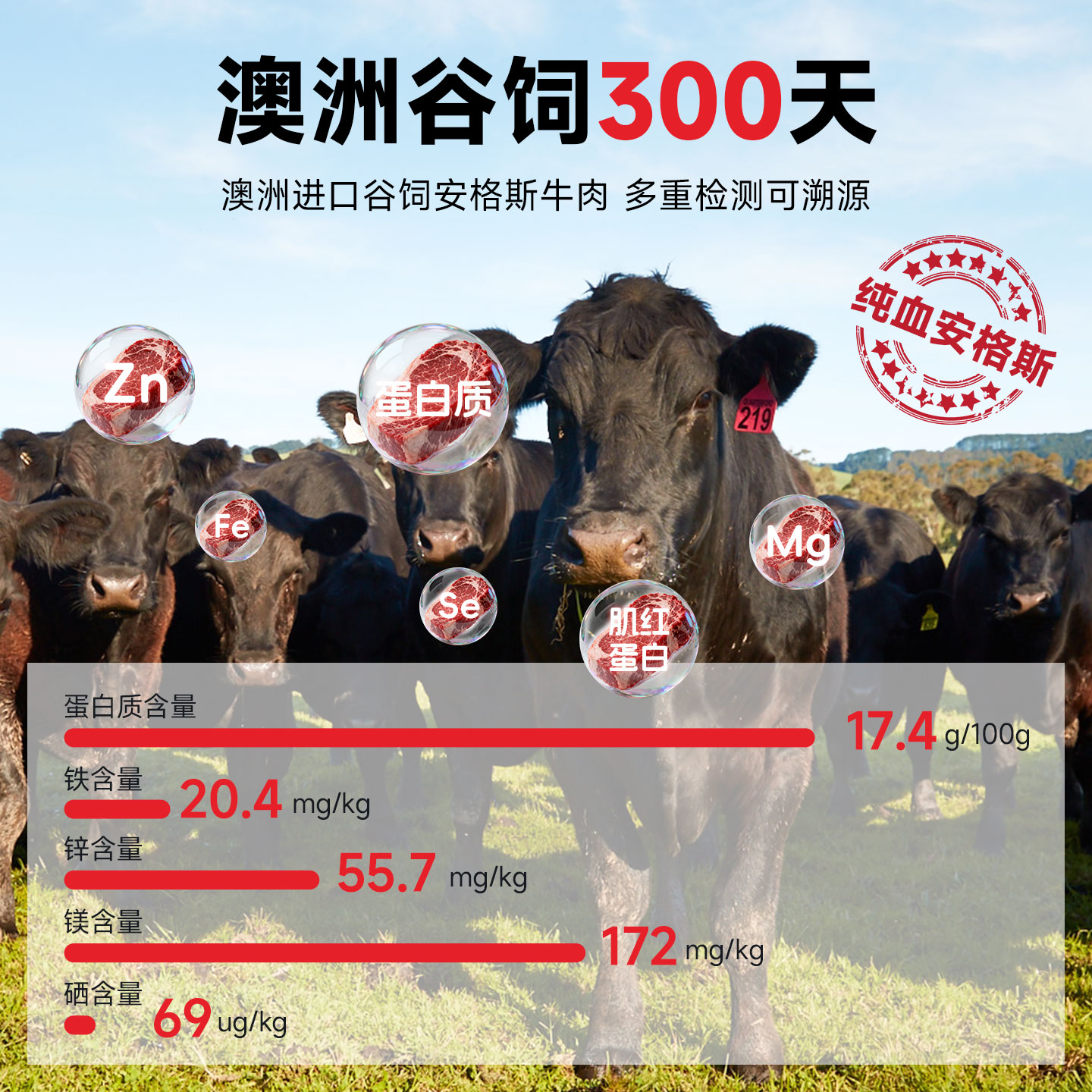 澳洲安格斯原切上脑牛排M3+谷饲新鲜雪花牛扒健身宝妈冷链直达