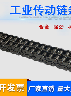 工业链条 3分06B 4分08B 5分10A 6分12A 1寸16A单排双排精密链条