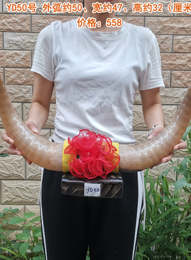 天然牦牛对角摆件客厅家居饰品办公E室桌商务高档开业礼品牛气冲