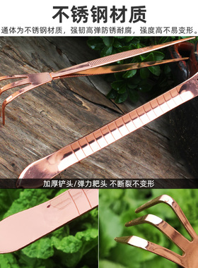 园艺工具不锈钢三爪耙子小铲子拾物镊子家用种花种菜盆栽多肉神器