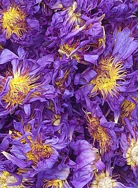 2021新烤纯天然蓝莲花花茶睡莲干花 低温烘烤蓝莲花花茶干花 现货