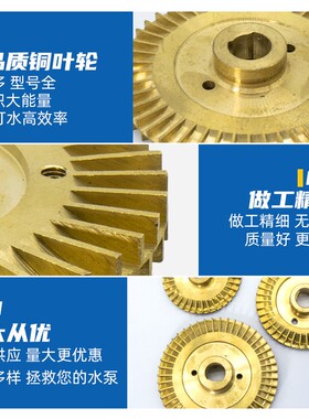 自吸泵铜叶轮QB/WZB/PW/AWZB自动增压泵旋涡泵管道泵抽水泵水叶轮