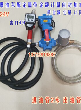 防爆汽油泵12V24V220V直流电动抽油泵总成柴油自吸泵带枪管加油机