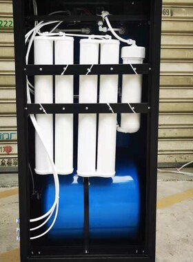 实验室纯水机超纯j化柱n纯水柱预处理柱RO膜双通道UP水柱预处理包