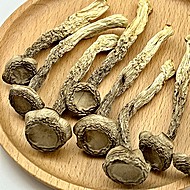 鲜滋说！农家干货鹿茸菇100g