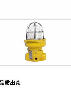 海星海事船用铝质白炽防爆灯舱顶灯CFD1防水24V220V100W CCS正品