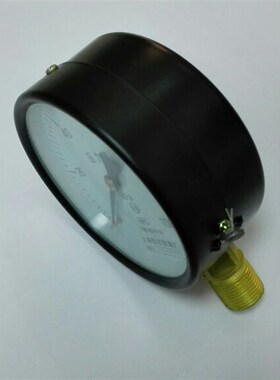测水用100kpa压力表 直径100mm 铜螺纹m20x1.5 径向 1.6级 微压表