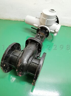 电动法兰闸阀DN100排污水厂明杆铜芯铜杆契式球磨铸铁开关阀门150