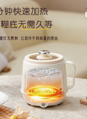 多功能电炖杯热牛奶杯家