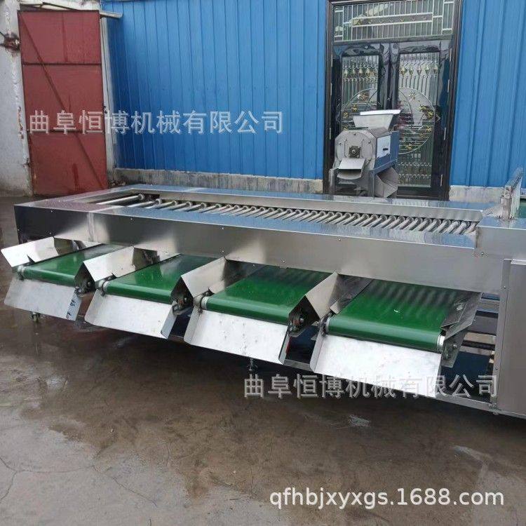 商用金桔选果机 多功能皮带式罗汉果松塔分级机 工业大枣选枣机,淘宝优惠券,粉丝福利购,淘宝优惠卷