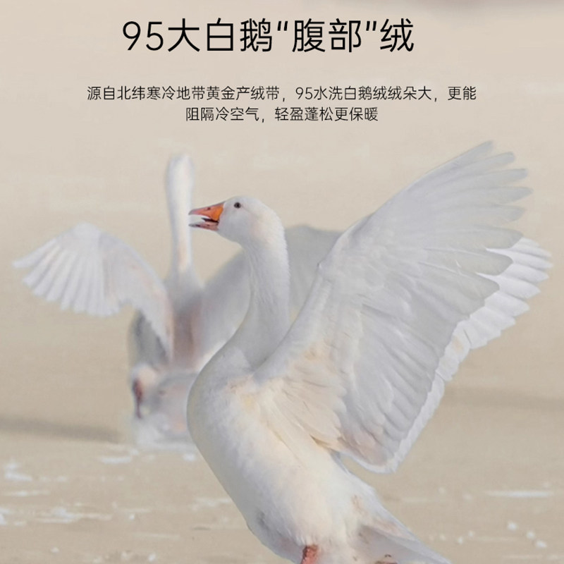 旗舰店正品 95白鹅绒羽绒被加厚保暖冬被单双人春秋被五星级酒店,淘宝优惠券,粉丝福利购,淘宝优惠卷