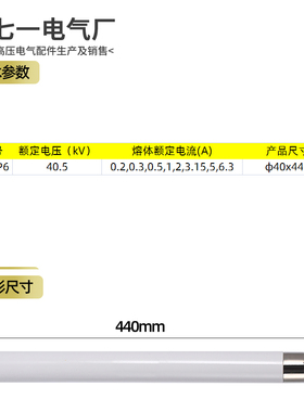 XRNP6-35~40.5KV/0.5A 1A 2A 3A 5A 高压熔断器 安装尺寸40*440mm
