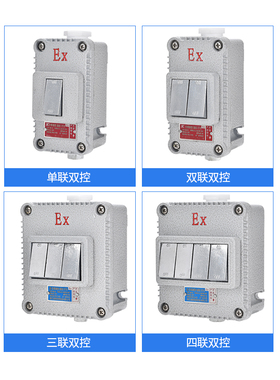 防爆开关墙壁 220V 10A防爆照明开关一位二位三位工业隔爆型开关