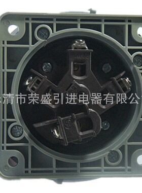 4芯63A荣盛CEIRSIEC防水防爆工业插座(器具插座)RS-5342 暗装