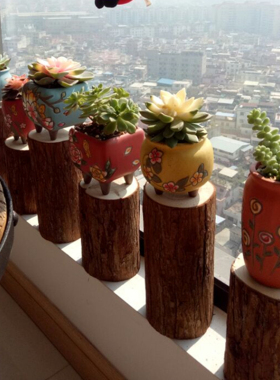 实木带皮圆木片壁炉装饰木柴树桩木材原木装饰木头杉木桩摆件道具