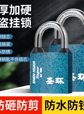 圣环仓库门挂锁家用防水防锈纯铜锁芯迷你型学生宿舍柜子锁抽屉锁