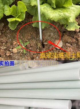 玻璃纤维杆玻纤棒1.5至6米拱棚支架保温棚园艺支架遮阳棚弹性棒