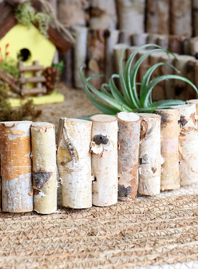 桦木小栅栏小篱笆装饰o摆件场景围栏隔断落地造景道具户外庭院花