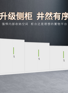 办公文件柜纯黑色铁皮柜纯白色档案柜资料柜带锁收纳柜书柜矮柜子
