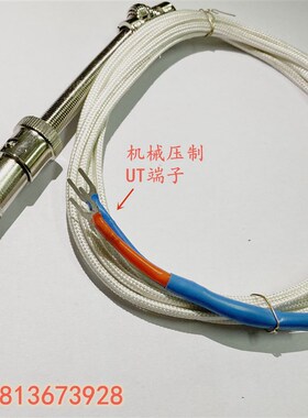 K型E型压簧式热电偶 压簧传感器 温控仪探头 热电偶 PT型 WRNT-01