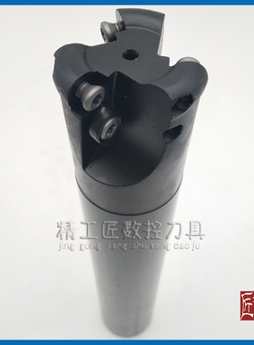 黑色加硬抗震EMR R5圆鼻铣刀杆1003圆刀粒C12 16 20 C25进口材质