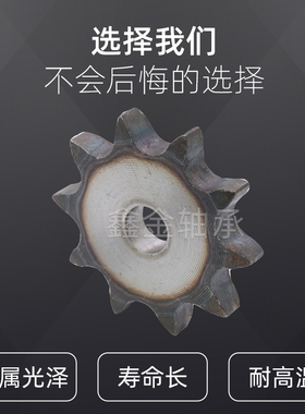 链轮片平片轮(06B)3分10齿11齿12齿13齿14齿15齿-30齿 节距9.52