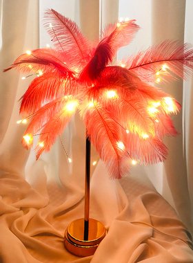 网红羽毛台灯摆件北欧卧室床头灯C女生房间布置浪漫温馨少女心礼