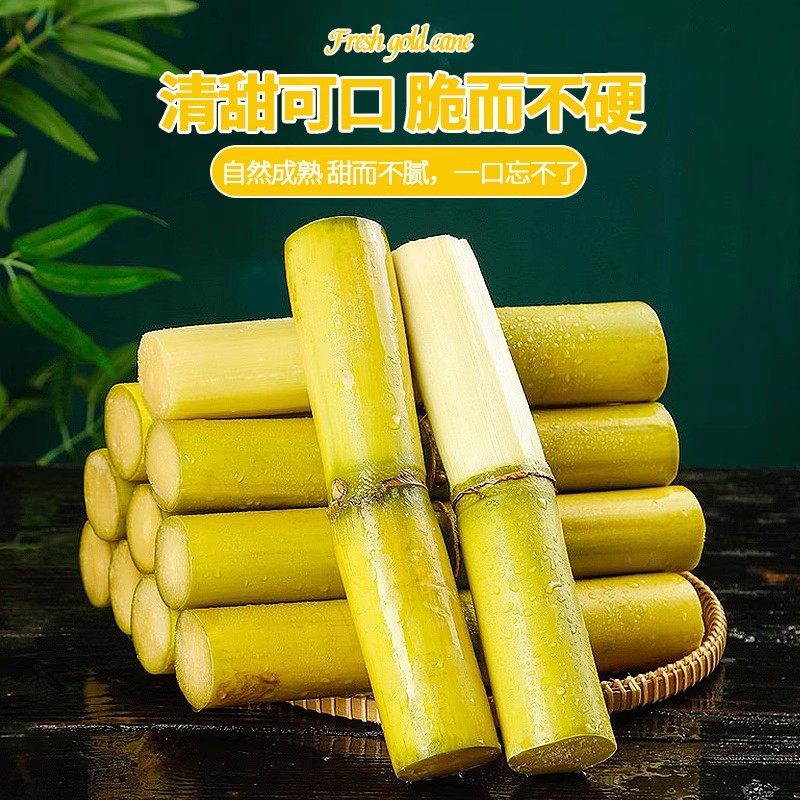 正宗黄金甘蔗黄皮脆甜新鲜水果9斤现砍甜杆甘蔗孕妇多汁包邮批发,淘宝优惠券,粉丝福利购,淘宝优惠卷