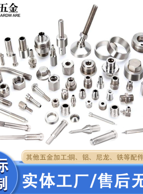 非标螺丝五金件加工铜件铝件不锈钢件铜螺母CNC自动车床车件定制