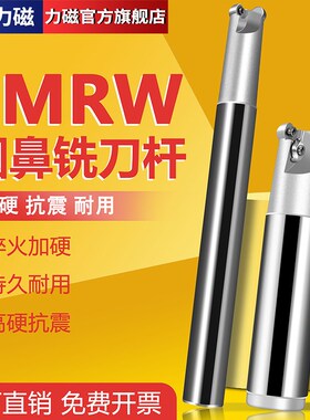 力磁EMR圆鼻铣刀杆抗震R5开粗平面R4R6铣床刀杆CNC数控刀具牛鼻刀