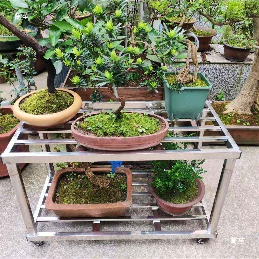 不锈钢鱼缸置物小架花架子推t$*&lzny车动带轮移底座庭院盆放景架