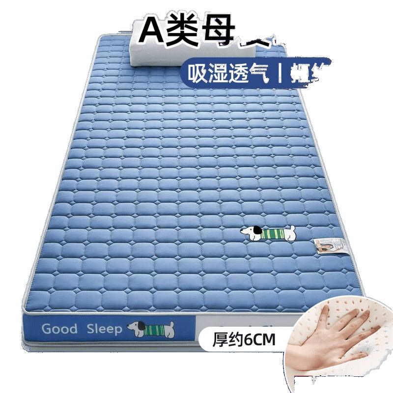加厚乳胶记忆海绵床垫单人学生90cm家用软垫出租房地铺宿舍家居 - 图2