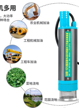 电动抽油泵12V/24V/220V柴油汽油通用油抽子抽水泵小型抽油神器