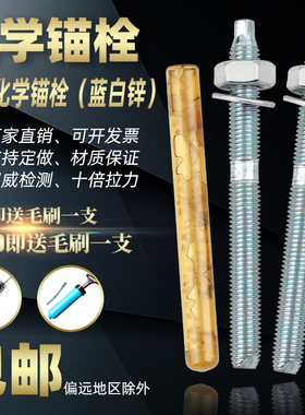 304不锈钢化学锚栓/化学膨胀螺栓/化学螺丝倒锥M8M10M12M16M20M30