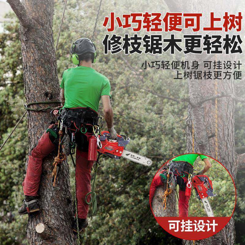 新纯进口小油锯汽油锯伐木锯锯毛竹锯款1口2寸进油小型家用小5299,淘宝优惠券,粉丝福利购,淘宝优惠卷